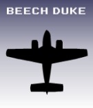 Beech Duke